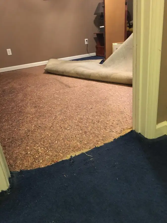Carpet pad removal revealing water damage during Water Mitigation Services in Rialto
