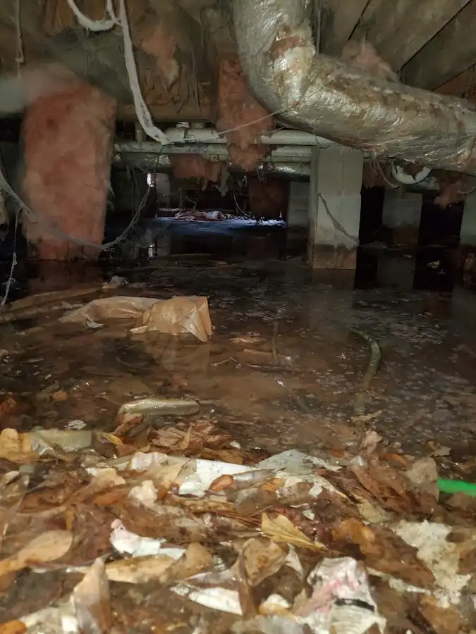Crawl space flood assessment for Leak Detection & Repair in Rialto
